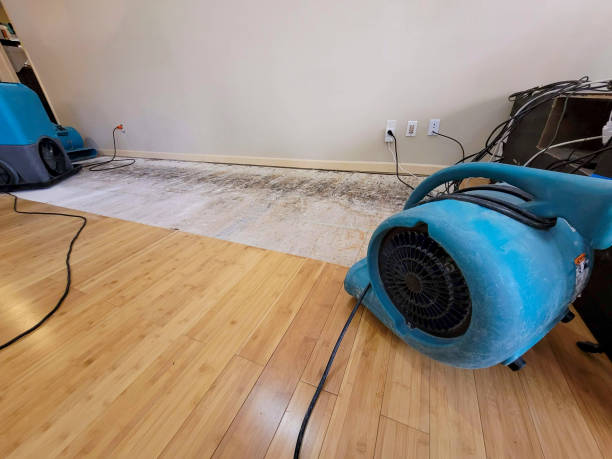 Professional Water Removal technician working in Springfield, FL